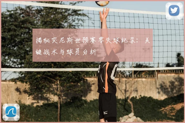 揭秘突尼斯世预赛零失球纪录：关键战术与球员分析