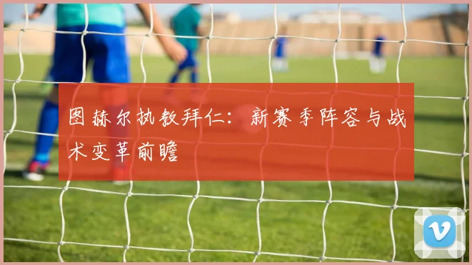 图赫尔执教拜仁：新赛季阵容与战术变革前瞻